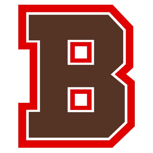 Brown Bears Wrestling