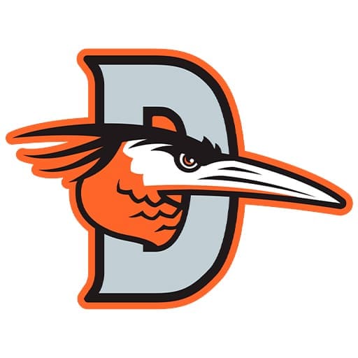 Delmarva Shorebirds