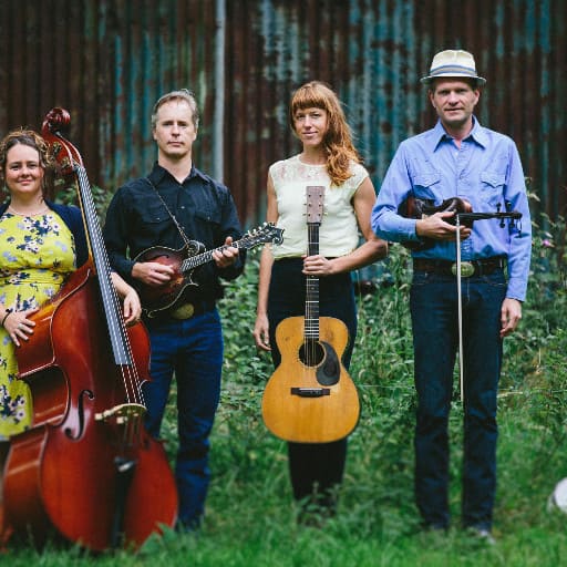 Foghorn Stringband Concerts in San Francisco