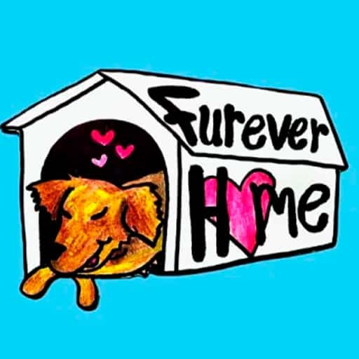 Furever Home San Francisco Tickets