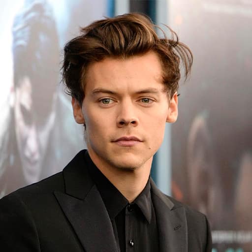 Harry Styles in San Francisco