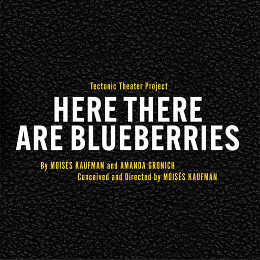 Here There Are Blueberries San Francisco Tickets