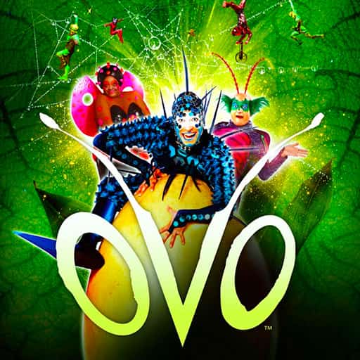 Cirque du Soleil - Ovo San Francisco Tickets