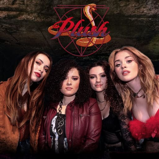 Plush in San Francisco
