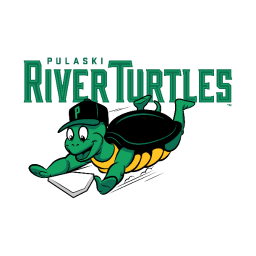 Pulaski River Turtles