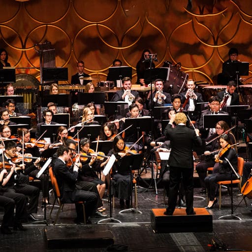 Sibelius First Symphony San Francisco Tickets
