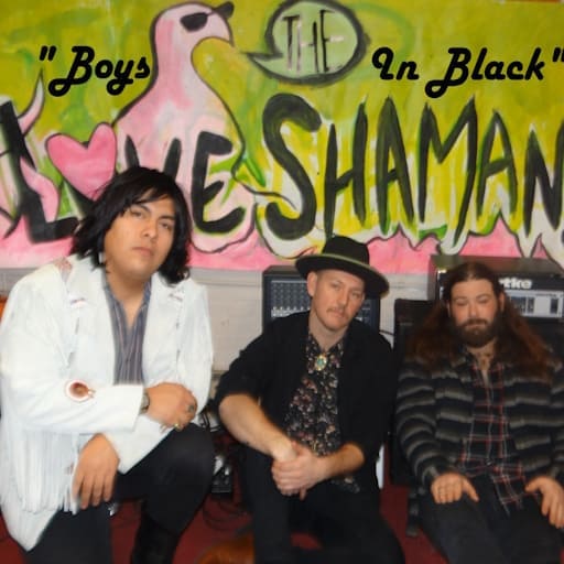 The Love Shamans Concerts in San Francisco