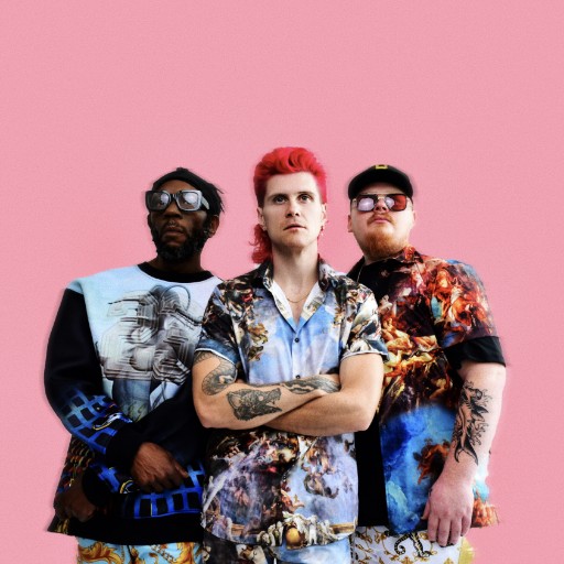 Too Many Zooz in San Francisco